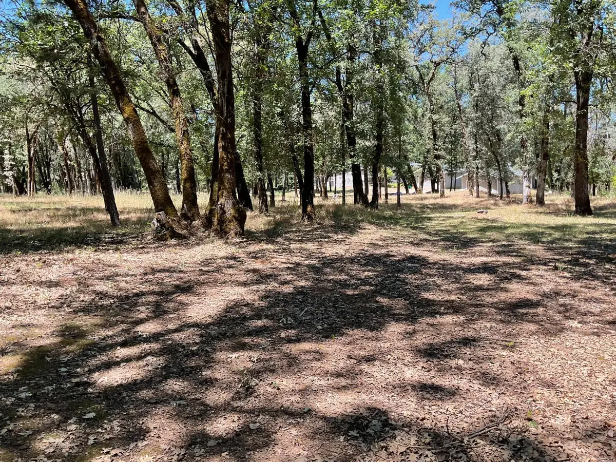 Address Withheld By Seller, Nevada City, CA 95959 - #1