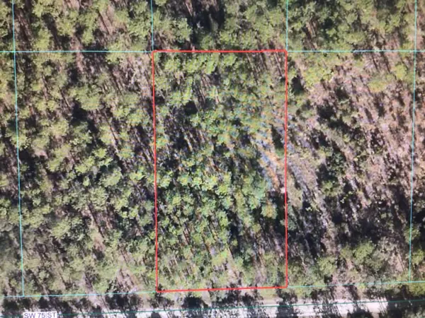 0 SW 75 Street, DUNNELLON, FL 34432