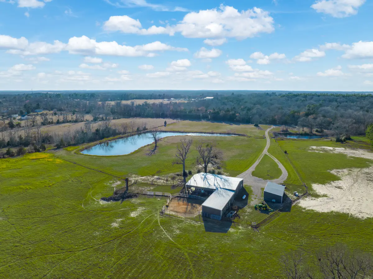 3397 Vz County Road 4412, Ben Wheeler, TX 75754 - #1