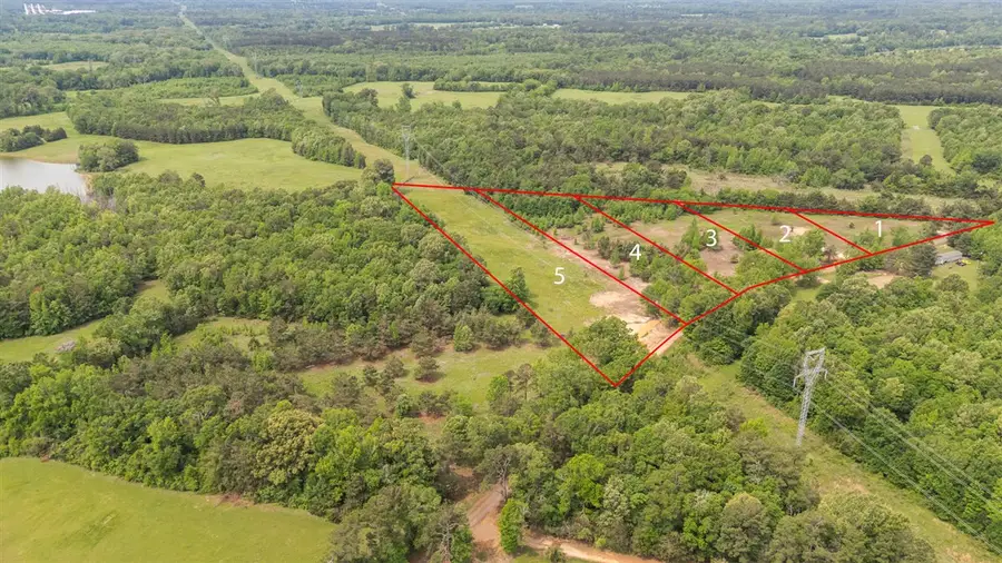 Lot 4 CR 1552, Long Branch, TX 75669 - #3