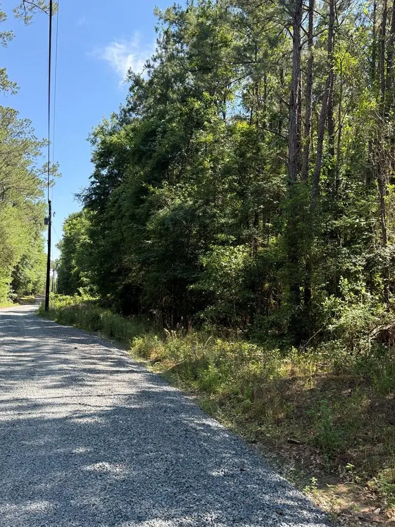 0 Appian Way, Baconton, GA 31716 - #2