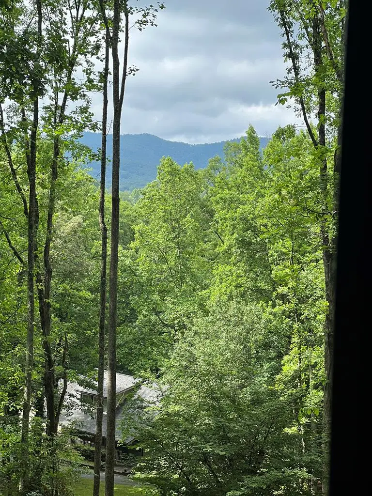 192 Brookwood Drive, Blairsville, GA 30512 - Image #3