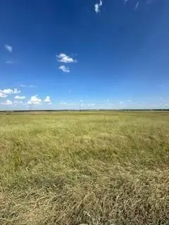 #3