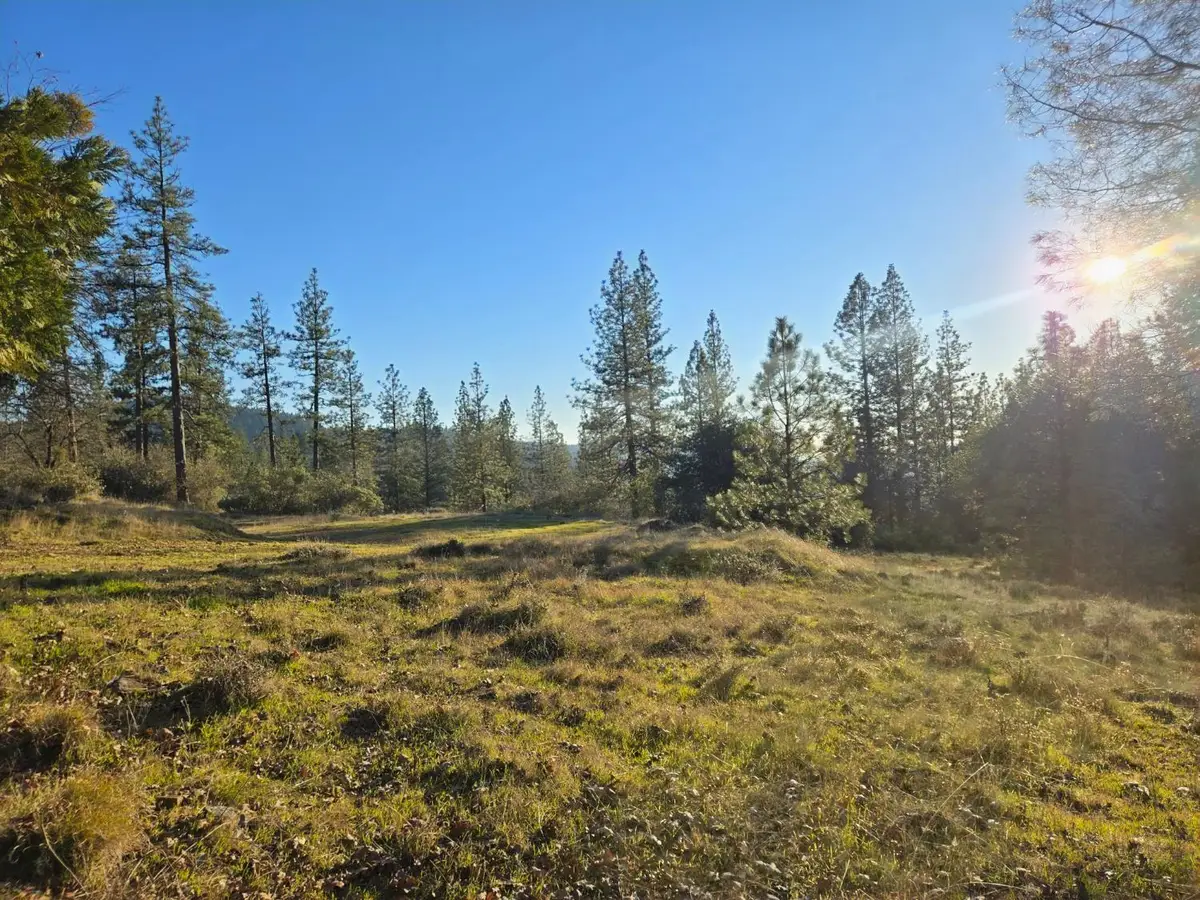 0 Double Eagle Way, Brownsville, CA 95919 - #1