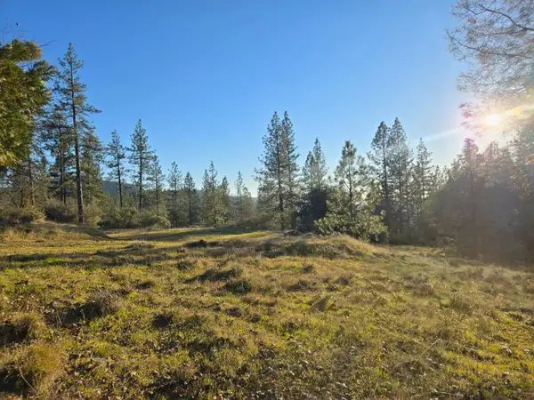 0 Double Eagle Way, Brownsville, CA 95919