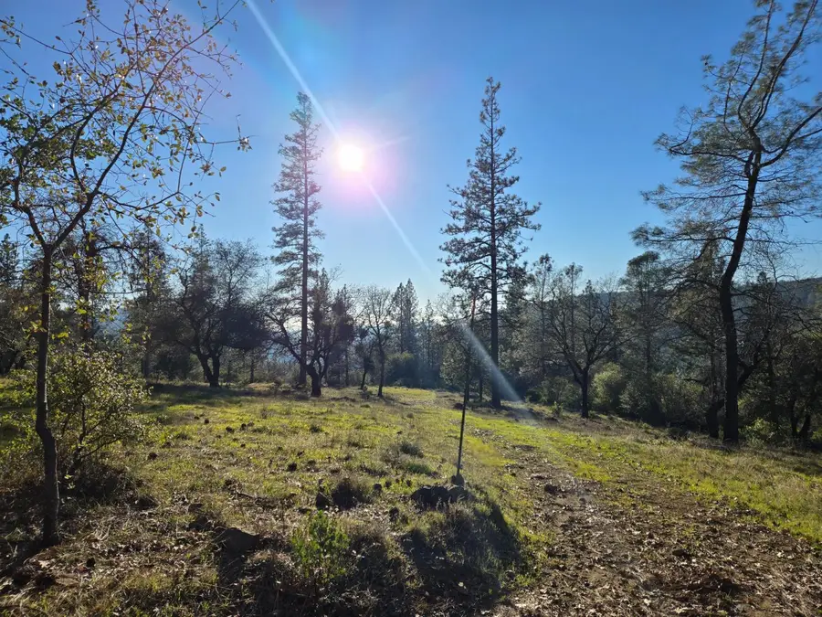 0 Double Eagle Way, Brownsville, CA 95919 - #2