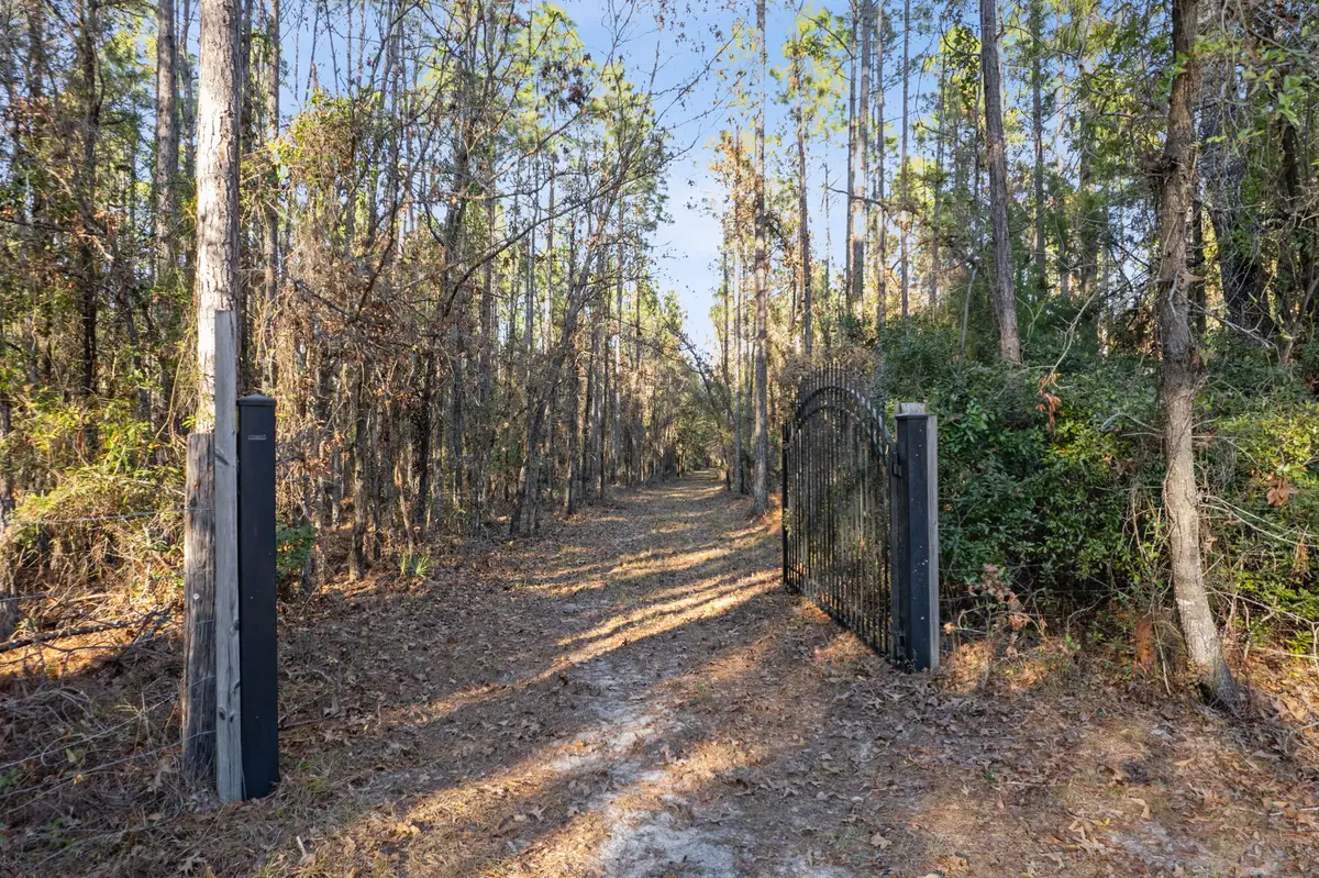 29077 Yellow Oak Court, Hilliard, FL 32046 - Image #1