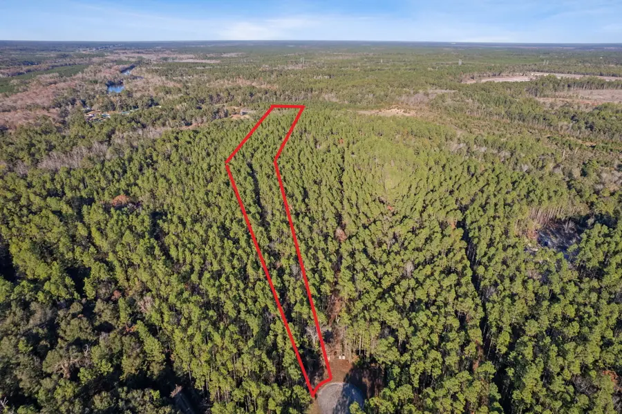 29077 Yellow Oak Court, Hilliard, FL 32046 - Image #2