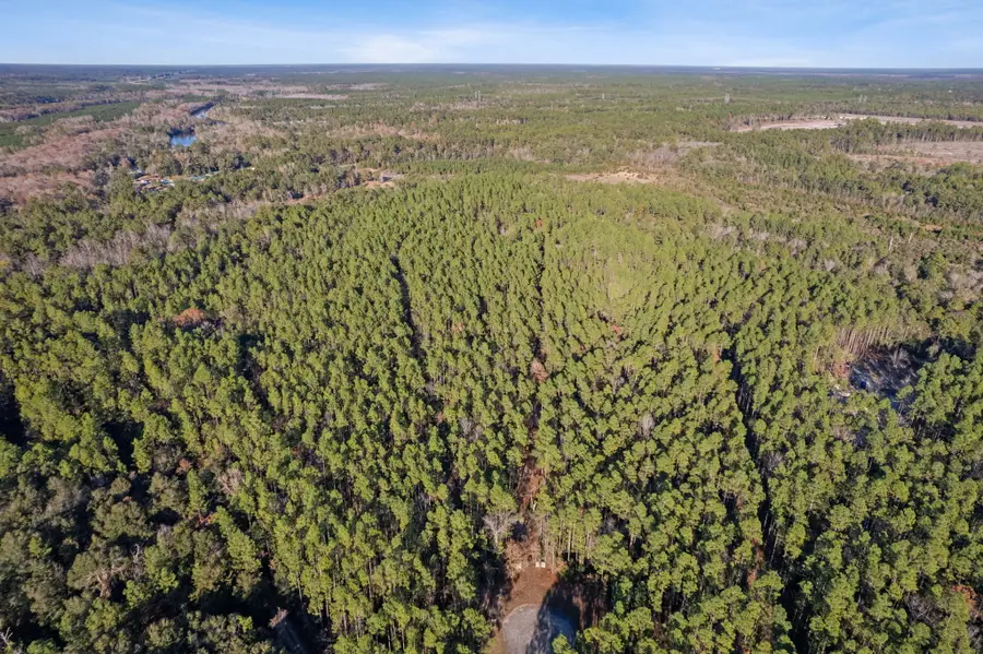 29077 Yellow Oak Court, Hilliard, FL 32046 - Image #3