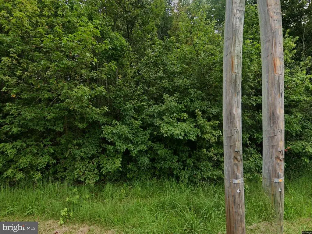 -116 Hankins Road, Hightstown, NJ 08520 - Image #1