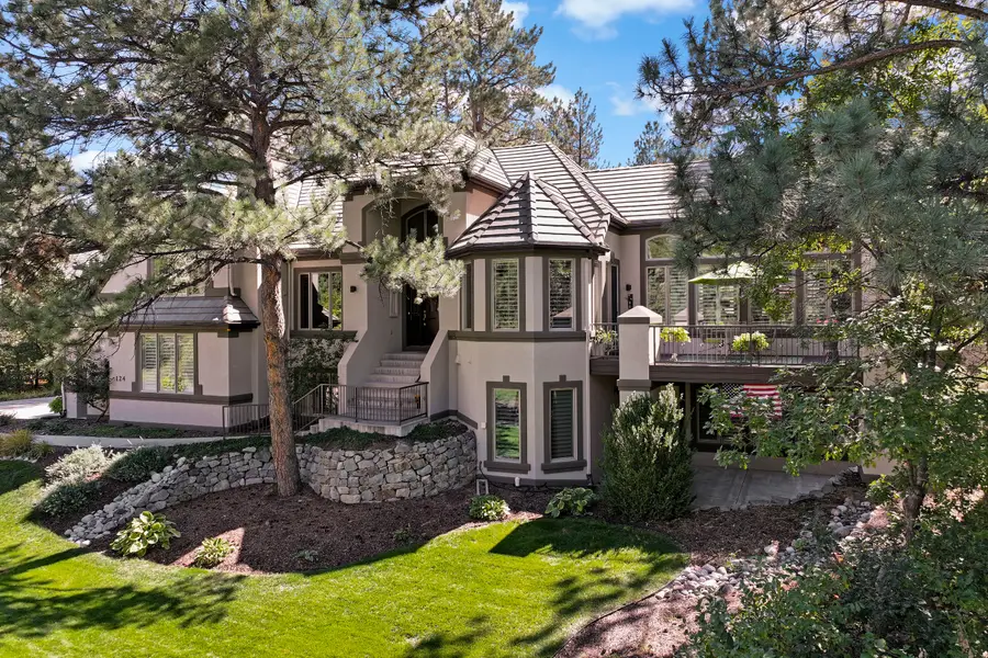 124 Silver Leaf Way, Castle Rock, CO 80108 - #3