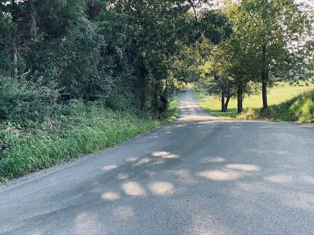 Lot 3 Falcon Road, Carbondale, IL 62901 - #1