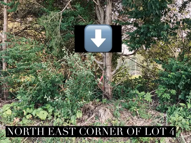 Lot 3 Falcon Road, Carbondale, IL 62901 - #3