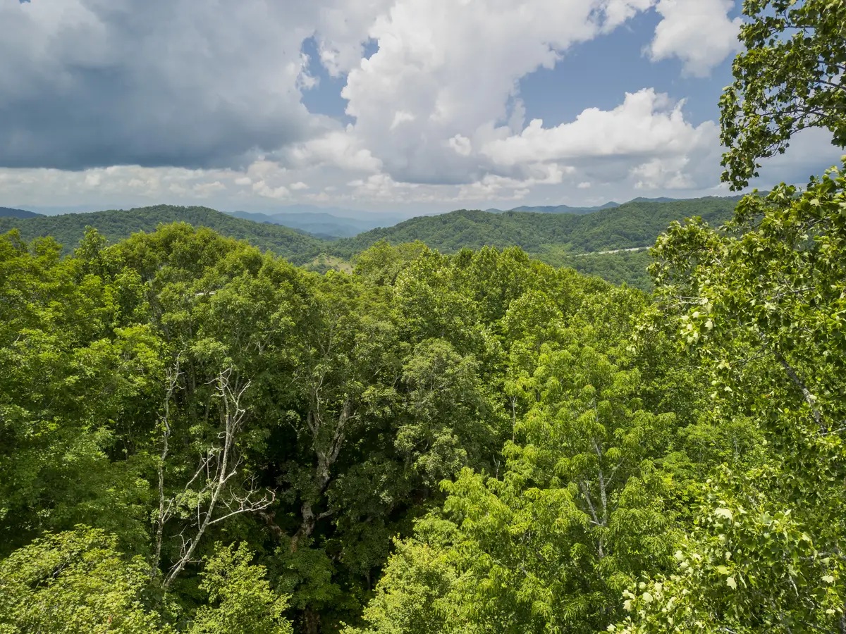 168 Smith Creek Road, Mars Hill, NC 28754 - #1