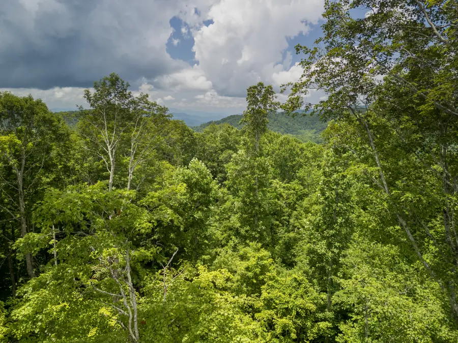 168 Smith Creek Road, Mars Hill, NC 28754 - #2