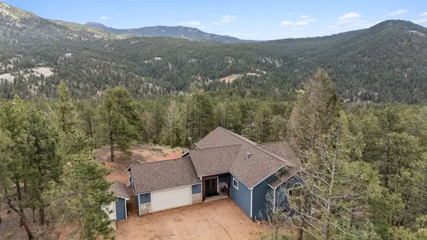 29004 Amerind Springs Trail, Pine, CO 80470