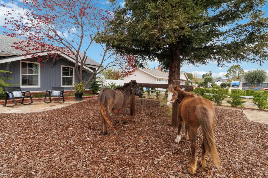 1881 Wellesley, Thousand Oaks, CA 91360 - #3