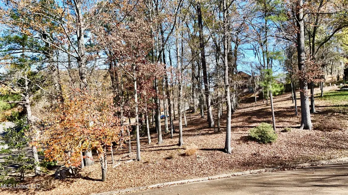 0 Brighton Drive, Clinton, MS 39056 - #1