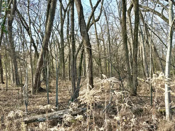 5156 Batchelor St, Clarksville, TN 37043