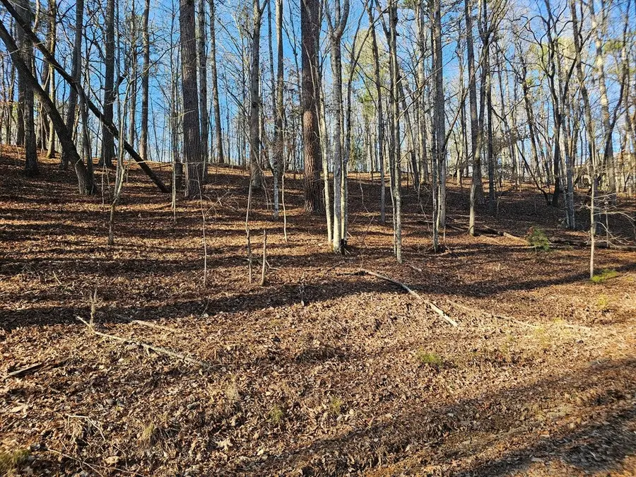 0, Winchester, VA 22602 - #3