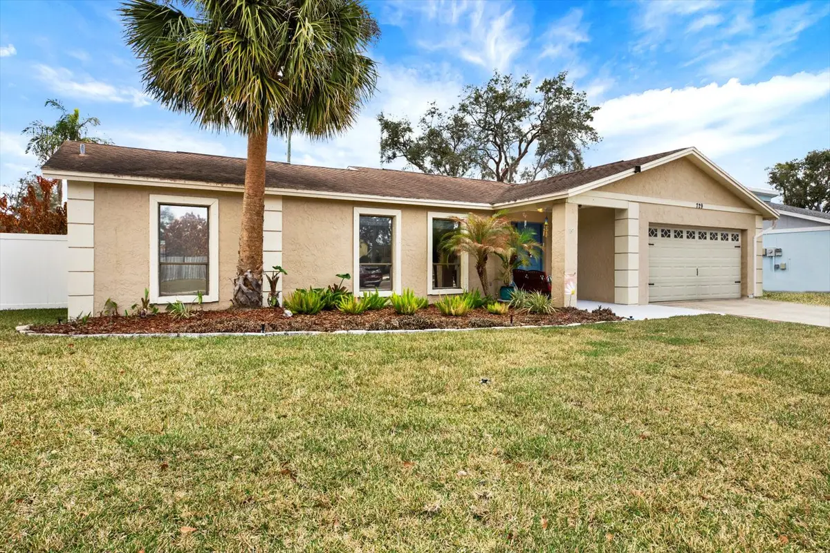 729 Sandy Creek Drive, Brandon, FL 33511 - #1