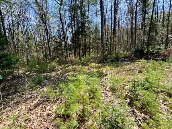3826 Leighton Hill Road, Newbury, VT 05081