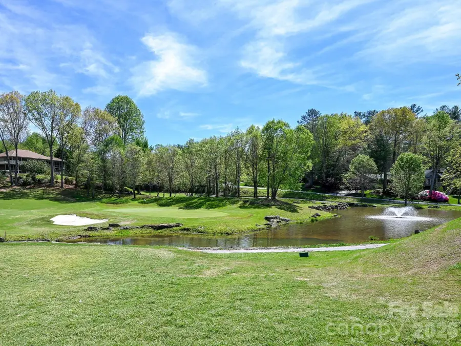 2208 E Cumming Woods Lane, Hendersonville, NC 28739 - #3