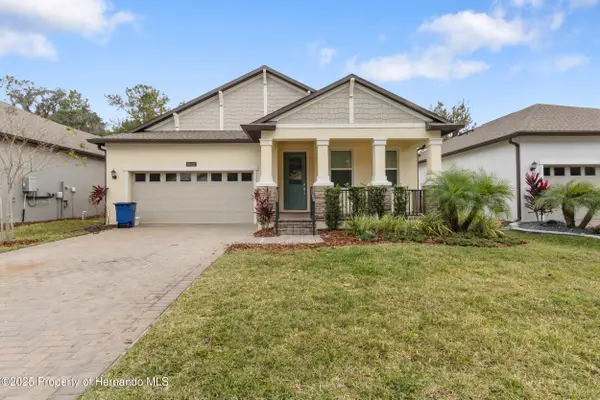 19432 Forest Garden Court, BROOKSVILLE, FL 34601