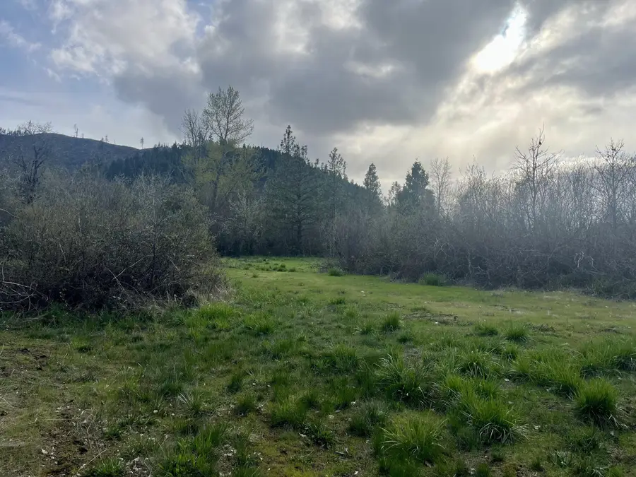 Lake Shore Drive, Selma, OR 97538 - #2