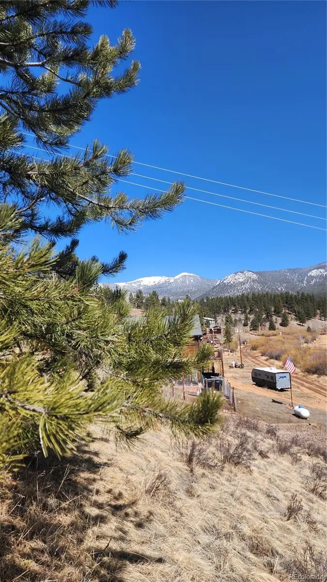 267 Ward Street, Bailey, CO 80421 - #3