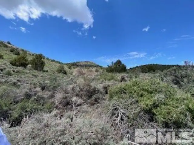 4720 Lost Burro Road, Virginia City, NV 89521 - Image #1