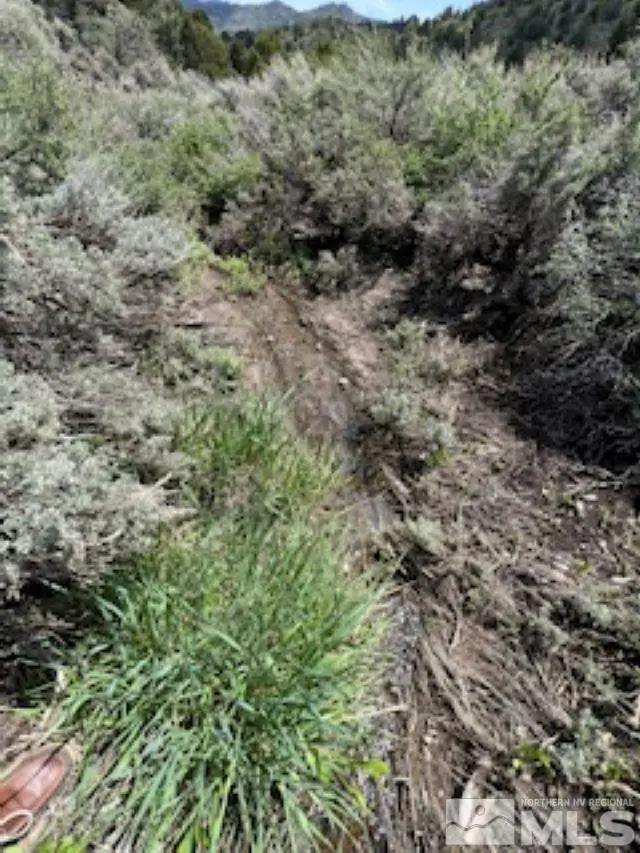 4720 Lost Burro Road, Virginia City, NV 89521 - Image #2