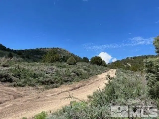 4720 Lost Burro Road, Virginia City, NV 89521 - Image #3