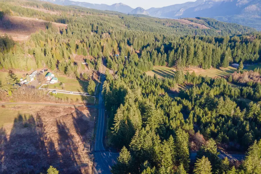 Loop Rd, Stevenson, WA 98648 - #3