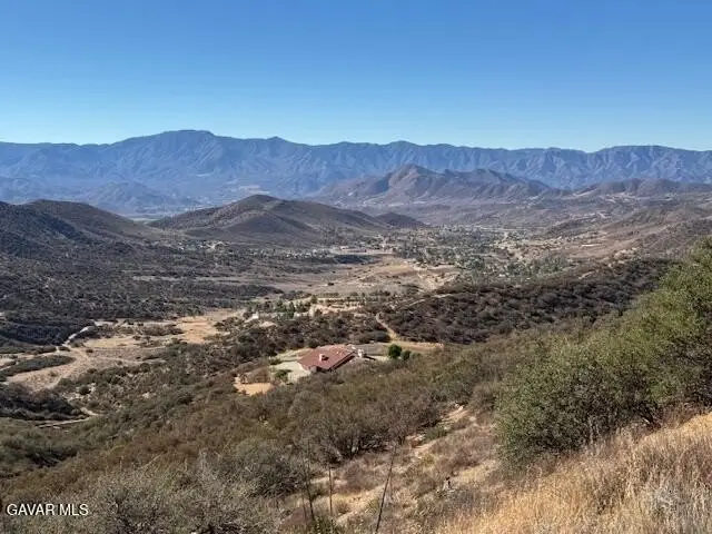 4700 Shannon View, Acton, CA 93510 - #3