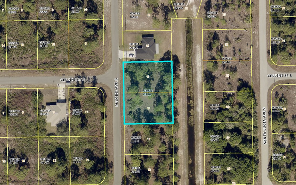 809 S Puccini Ave. S, Lehigh Acres, FL 33974