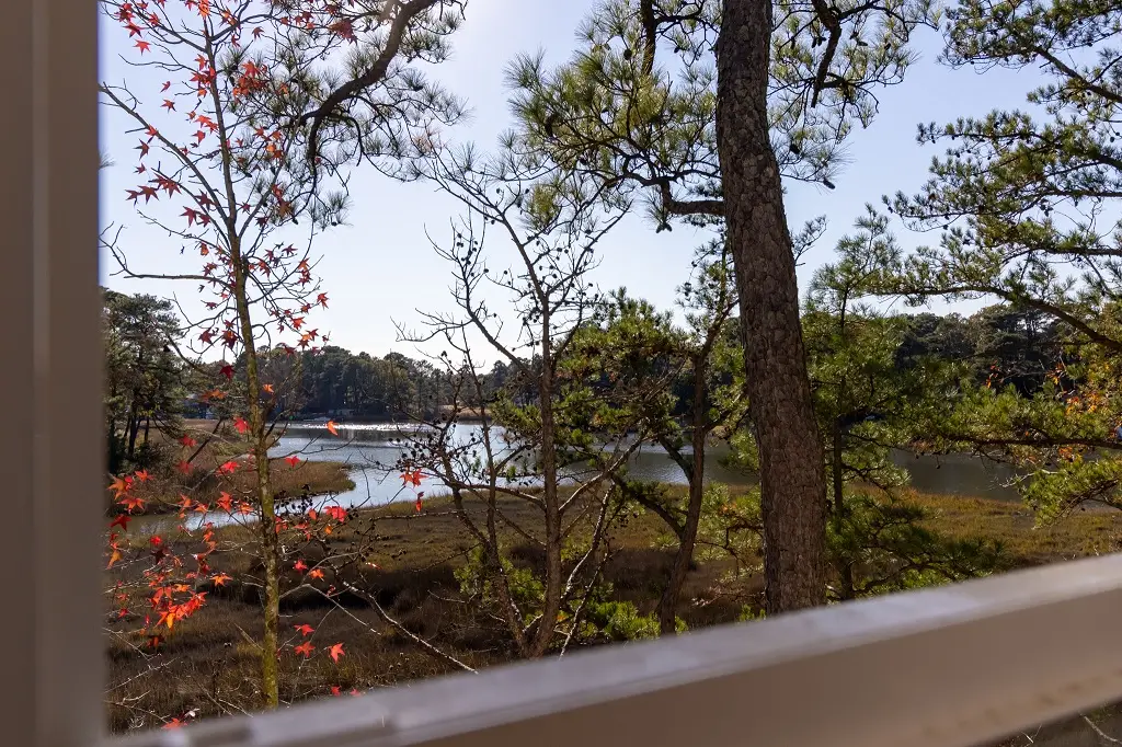 393 River Forest Road, Virginia Beach, VA 23454 - #1