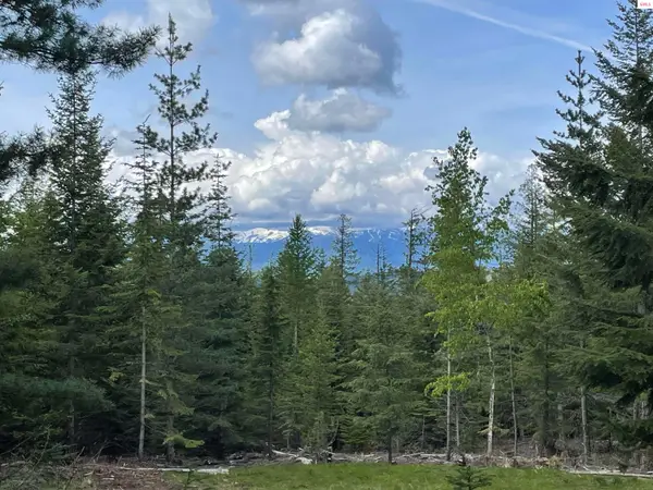 900 Rising Hawk Ridge, Sandpoint, ID 83864