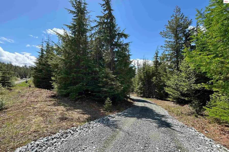 900 Rising Hawk Ridge, Sandpoint, ID 83864 - #2