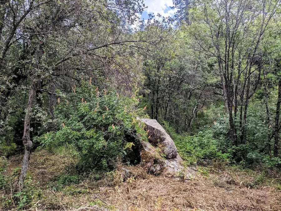 12998 Tyler Foote Road, Nevada City, CA 95959 - #2
