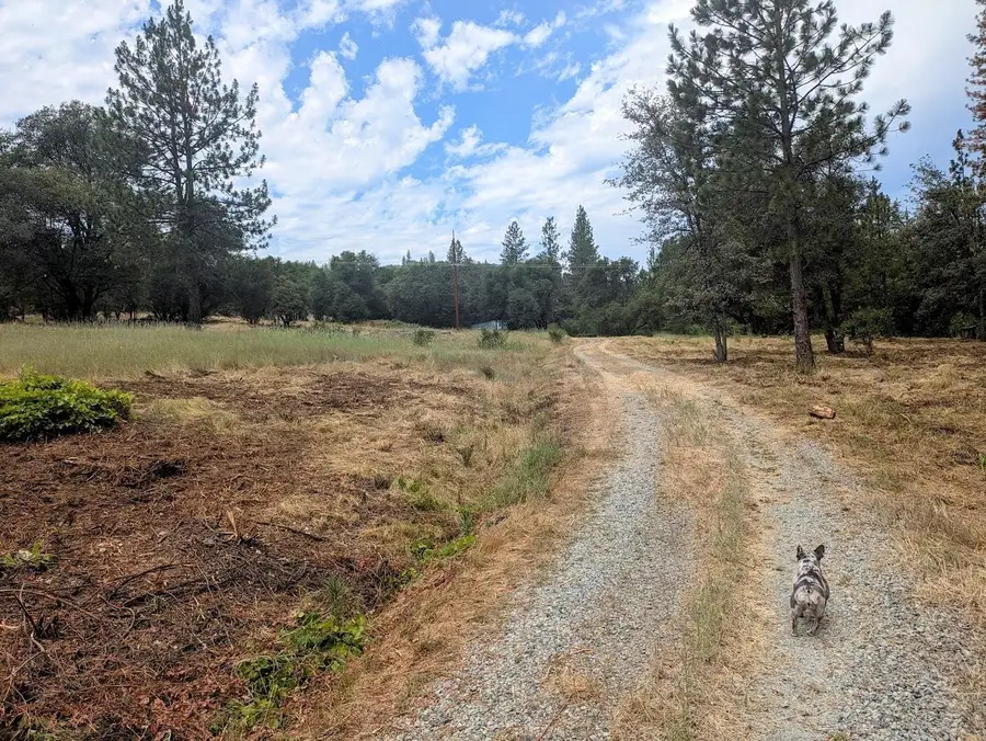 12998 Tyler Foote Road, Nevada City, CA 95959 - #3