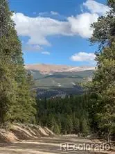 180 Peak View Drive, Leadville, CO 81251 - #1