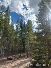 180 Peak View Drive, Leadville, CO 81251 - #2