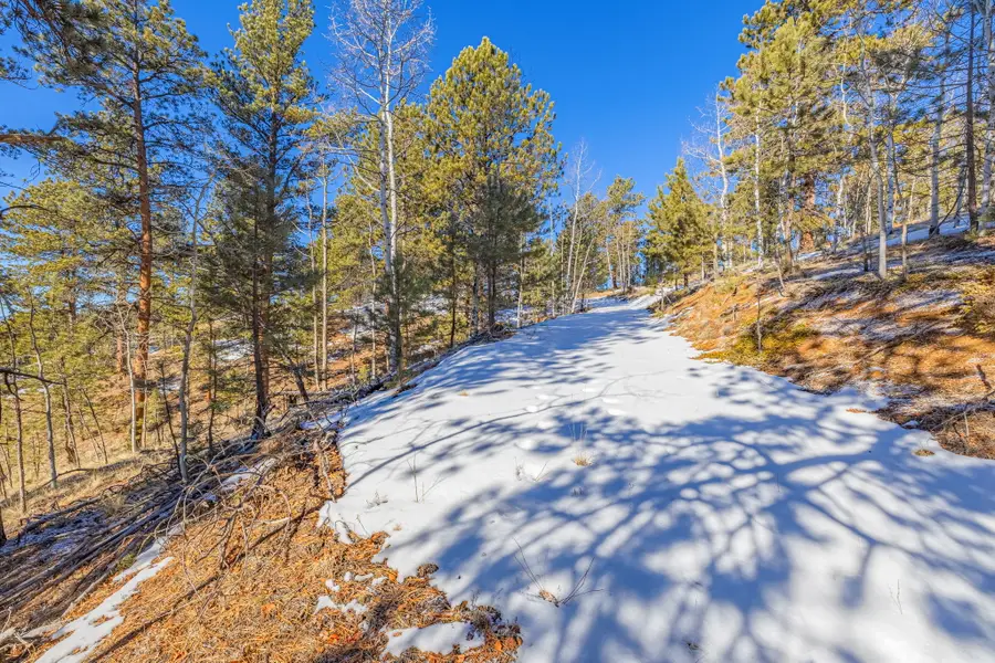 772 E Bison Creek Trail, Florissant, CO 80816 - #3
