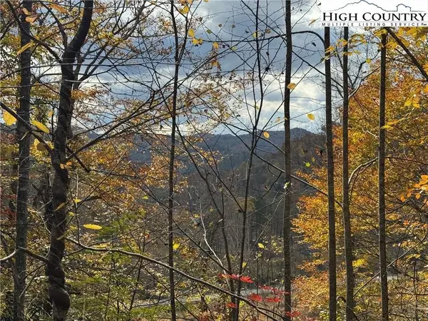 TBD Globe Road, Lenoir, NC 28645