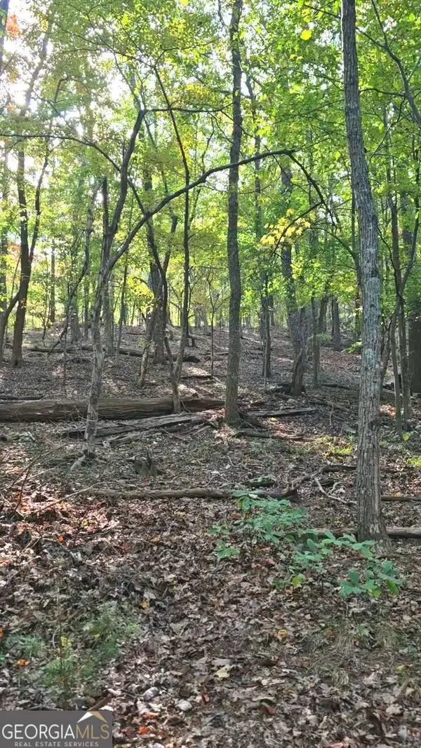 315 Windflower Drive, Big Canoe, GA 30534