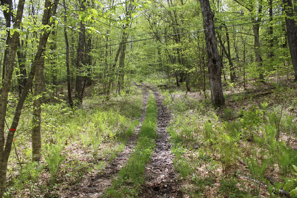 00 Long Hill Road, Woodstock, VT 05091 - #1