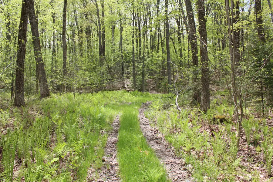 00 Long Hill Road, Woodstock, VT 05091 - #3