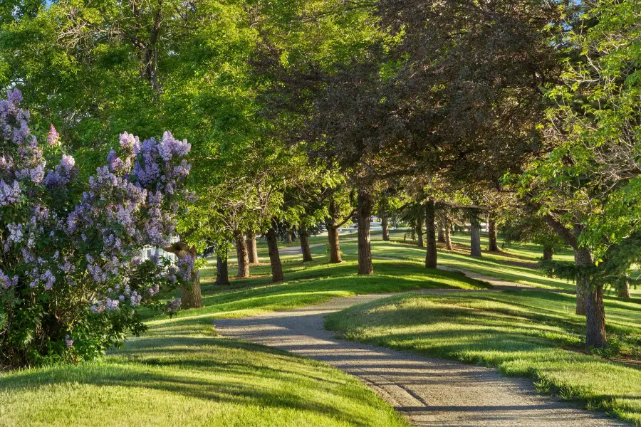 9715 Meadow Ridge Lane, Longmont, CO 80504 - #3