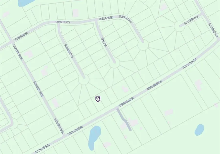 1531 White Bluff Drive, Whitney, TX 76692 - Image #3